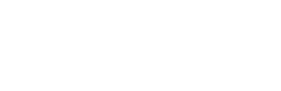 Net Service