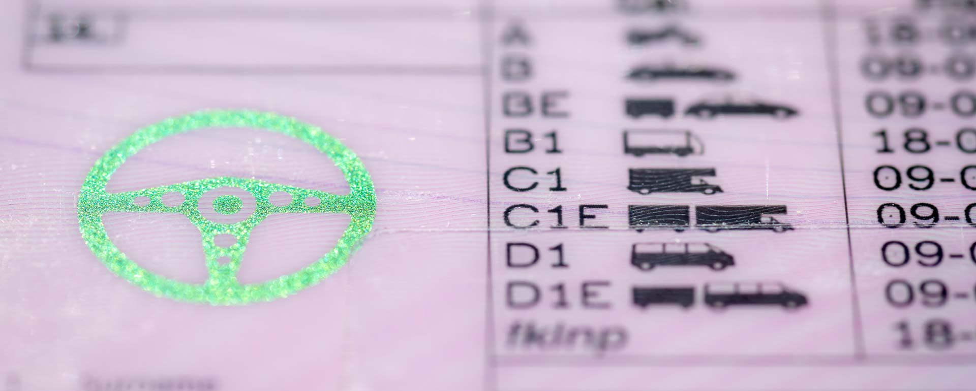 Webinar pagoPA Motorizzazione per Autoscuole