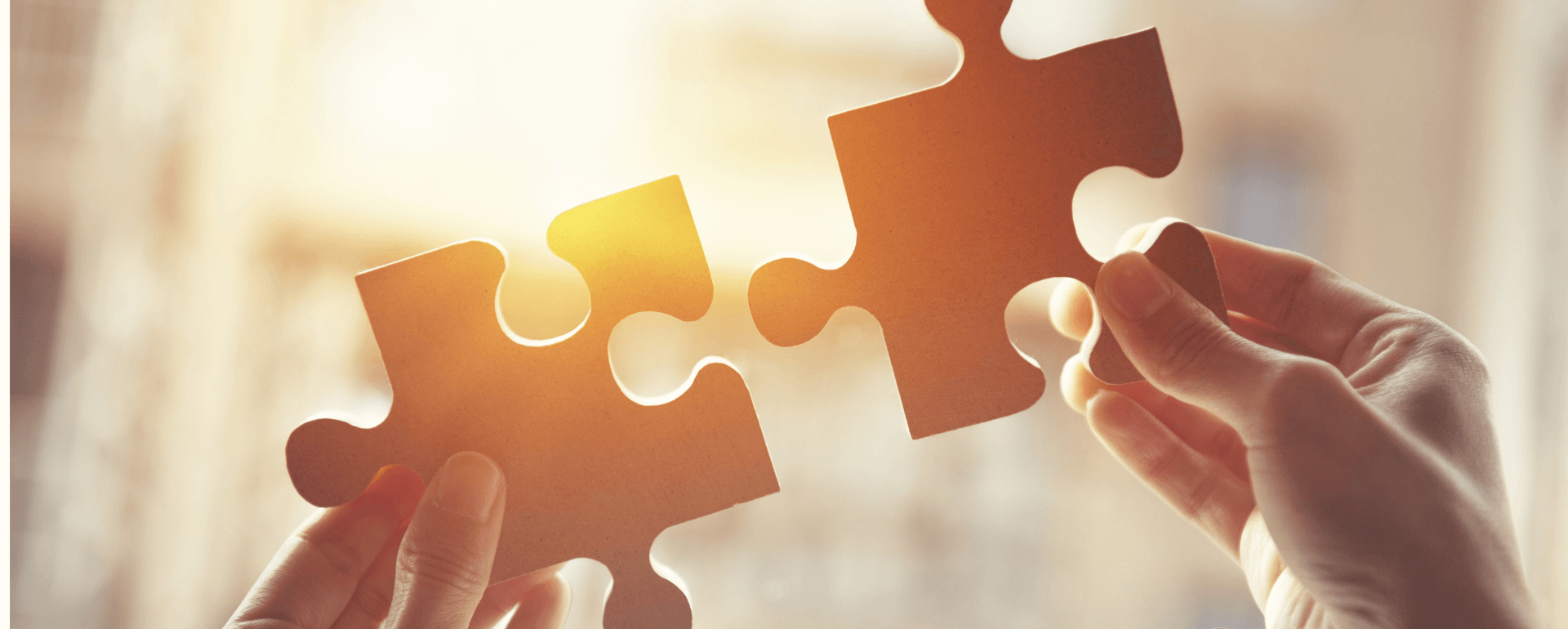 Novità da La Nuova Guida